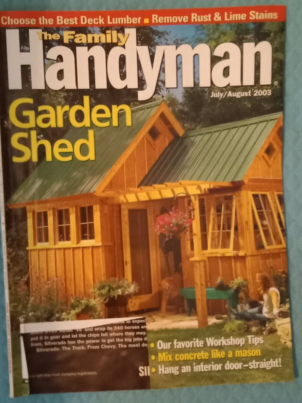 Handy/Handyman/3 pc